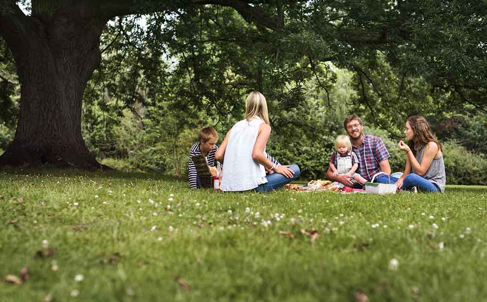 Picknick Sommertipp Villa Jacobs