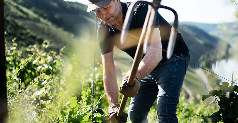 Berhard Kirsten im Weinhang Food Fellas