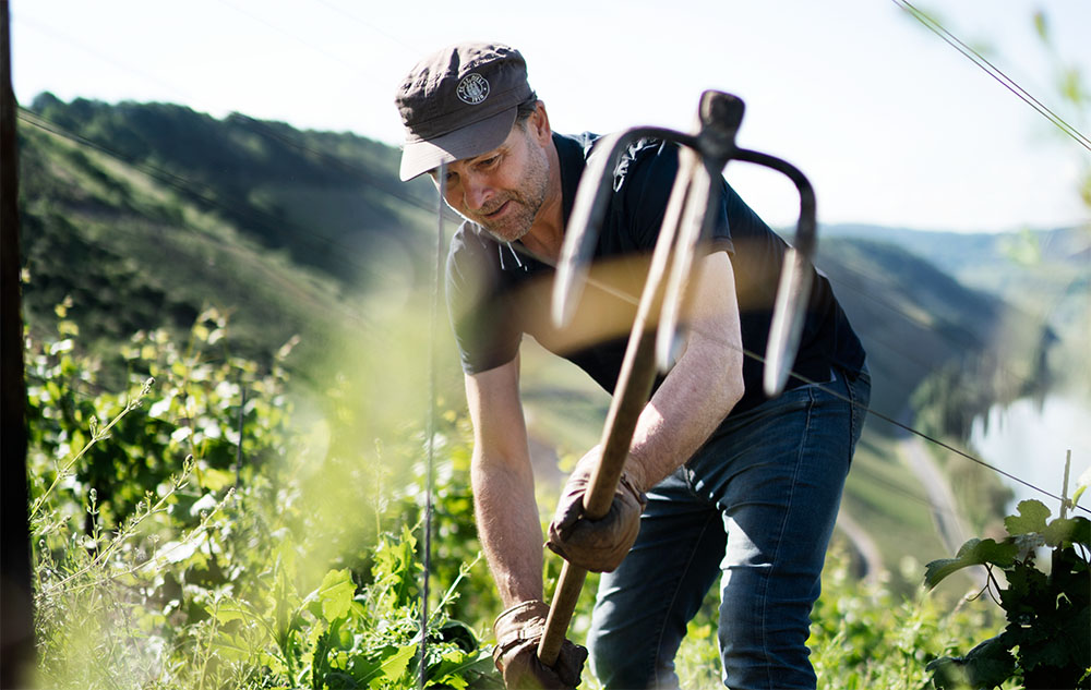 Bernhard Kirsten im Weinberg bei der Arbeit / Food Fellas